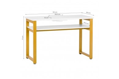 Profesionalus manikiūro stalas MOD22G su įmontuotu dulkių surinkėju MOMO S41 1