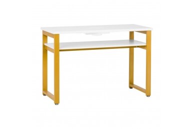 Profesionalus manikiūro stalas MOD22G su įmontuotu dulkių surinkėju MOMO S41